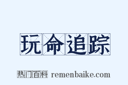 玩命追踪是什么意思的图片